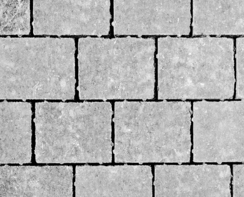 Permeable-Birch-Swatch